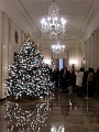 White House Christmas 2009 035